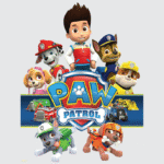 REMERA PAW PATROL 1